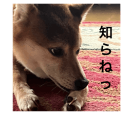 714426455