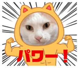 714445090