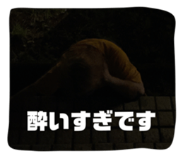 714450272