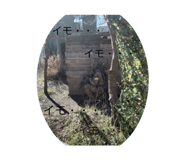 714452061