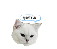 714559667