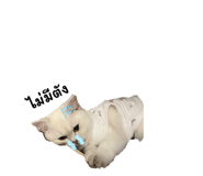 714559684