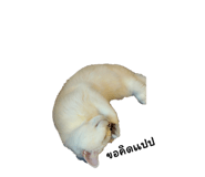 714559692