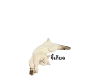 714559694
