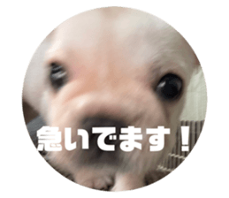 714562306