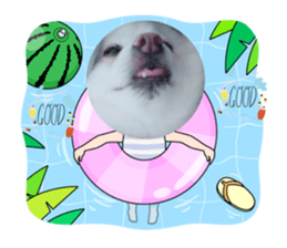 714638267