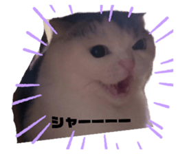714666645