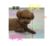 714756389