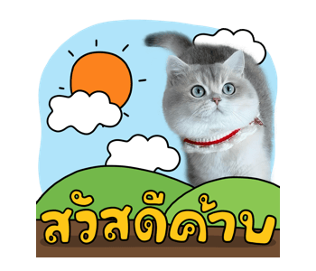 ลายที่ 1