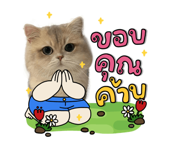 ลายที่ 5