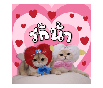 ลายที่ 7