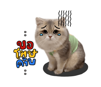 ลายที่ 9