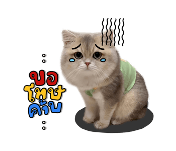 ลายที่ 5