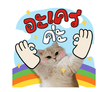 ลายที่ 11