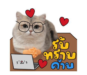 ลายที่ 13