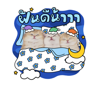 ลายที่ 15