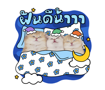 ลายที่ 8