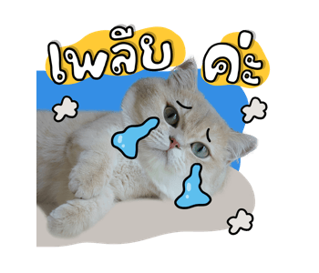 ลายที่ 17