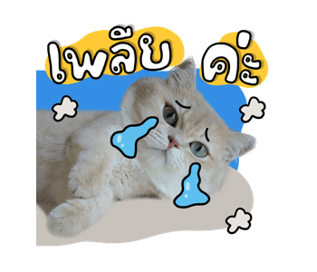 ลายที่ 9