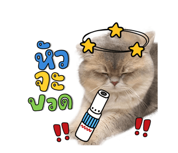 ลายที่ 19