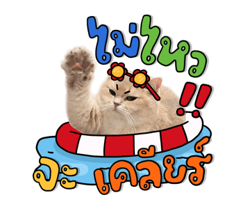 ลายที่ 21