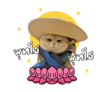 ลายที่ 23