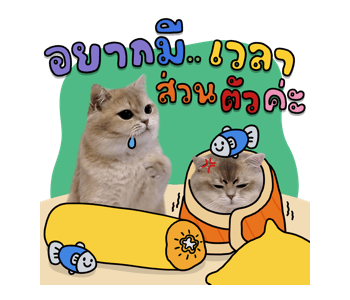 ลายที่ 27