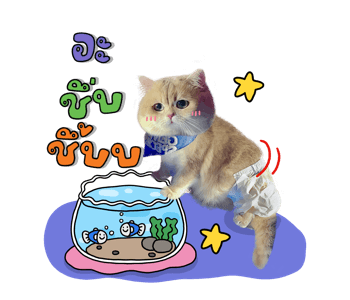 ลายที่ 29