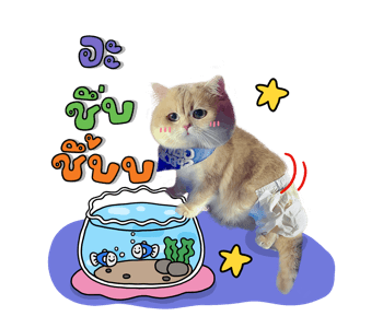 ลายที่ 15