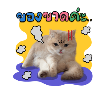 ลายที่ 31