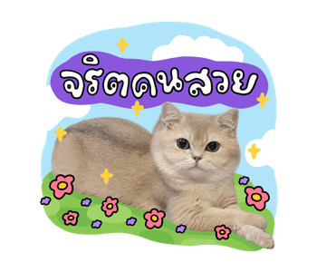 ลายที่ 33