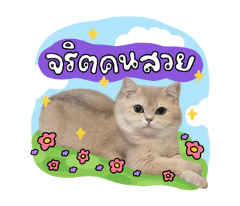 ลายที่ 17