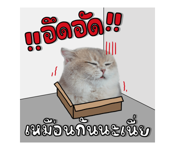 ลายที่ 18