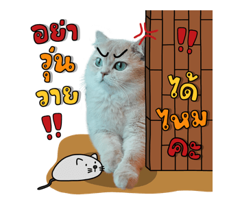 ลายที่ 37