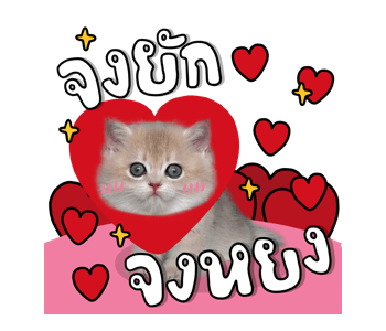 ลายที่ 43