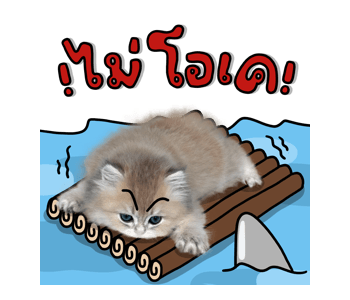 ลายที่ 45