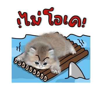 ลายที่ 23