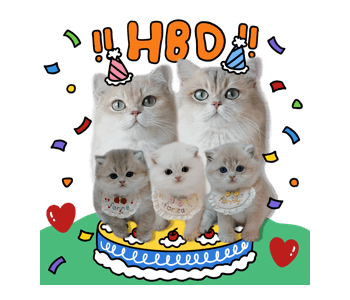 ลายที่ 47