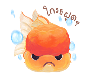 ลายที่ 11