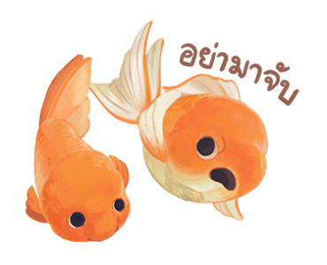 ลายที่ 37