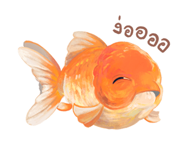 ลายที่ 41