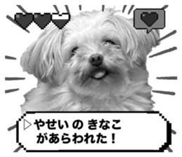 714825715