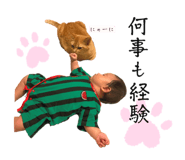 714932213