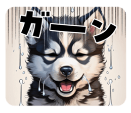 714962238