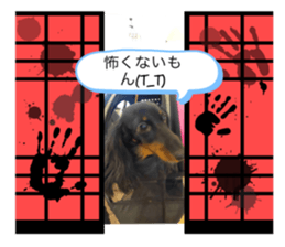715003464