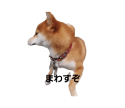 715019372