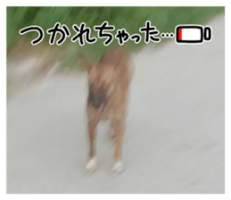 715048861