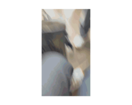 715123508