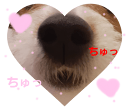 715125372