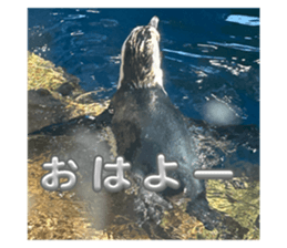 715132789